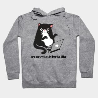 It's not what it looks like funny cat Hoodie